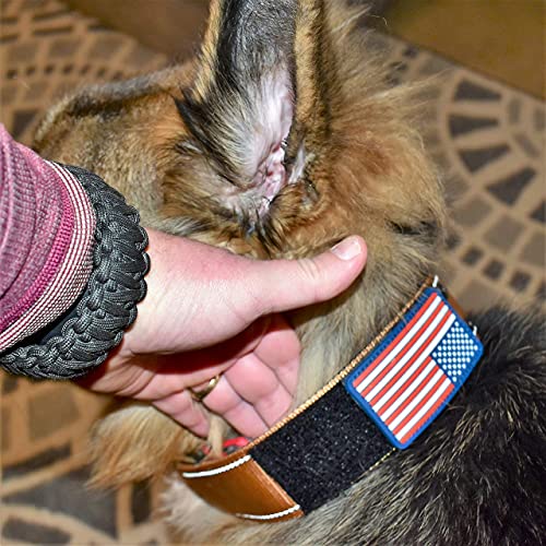 Tactical Dog Collar 2 Inch Wide Heavy Duty with Metal 2-Pin Belt Buckle for Medium, Large & XL Dogs, Thick Military-Style K9 Collar, Reflective, with Name Plate Area, USA Flag Patch, Strong & Durable - color: DESERT TAN, size: 20-28 inches