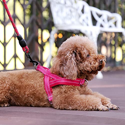 Plutus Pet No Pull Dog Harness with Breathable Mesh Padded, Adjustable Reflective Escape Proof Dog Harness, Quick Fit Dog Vest Harness for Small Medium Large Dogs(XXS, Pink) - color: Pink, size: XXS: chest 11.8"-15"