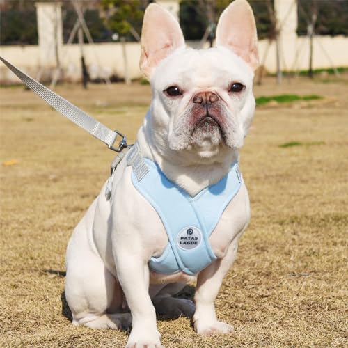 Patas Lague Dog Harness with Leash Set Adjustable Soft Padded Step-in Dog Vest No Choke No Pull Reflective for Small Pets with Poop Bags and Dispenser, Solid and No-chew, Blue XS - color: Blue, size: XS (Neck 16-19.1'' Chest 18.8-21.5'')