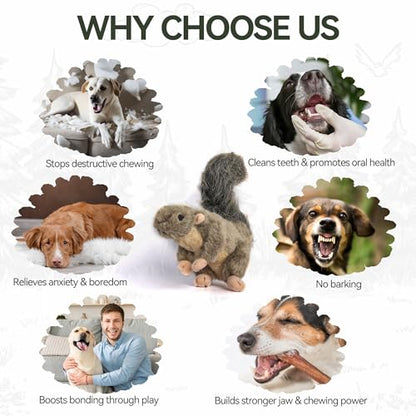 ALL FOR PAWS Interactive Dog Squirrel Plush Squeaky Toy - Perfect Puppy Enrichment Toy, Large
