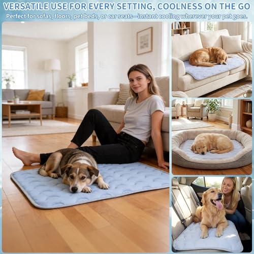 Dog Cooling Mat Non-Toxic Self Cooling Pad for Dogs Cats in Hot Summer Cool Pad Washable & Easy Clean - color: Grey, size: Medium 27x20in