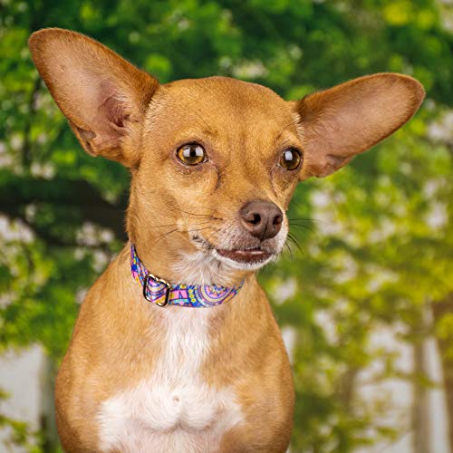Country Brook Petz - Blue Boho Mandala Martingale Dog Collar - Groovy Collection Featuring Far Out Designs (1/2 Inch, Extra Small) - color: Blue Boho Mandala, size: Extra Small (Pack of 1)