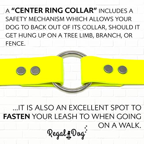 Regal Dog Products Medium Yellow Dog Collar with Heavy Duty Double Buckle & D Ring | Vinyl Coated, Custom Fit, Adjustable Biothane Dog Collar | Chew Resistant Waterproof Center-Ring Collar for Dogs - color: Yellow, size: Medium