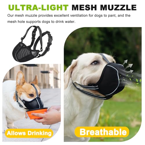 Dog Muzzle, Breathable Mesh Muzzle for Small Medium Large Sized Dogs, Adjustable Soft Muzzles to Prevent Chewing, Biting & Scavenging, Training and Walking Allows Panting Drinking (M) - size: M