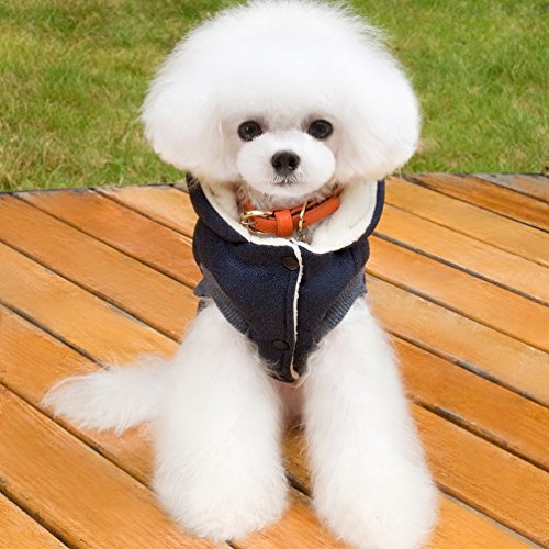 Fleece Dog Hoodie Winter Coat for Small Boy Dog Cat Puppy Cotton Hooded Jacket Chihuahua Clothes Blue S - color: Blue, size: S