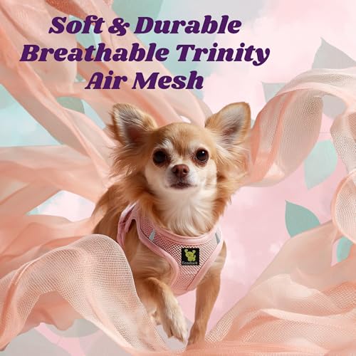 EcoBark Teacup Dog Harness - Luxury Soft XXXS Dog Harnesses for Puppy & Toy Breed Dog - Reflective Mini Step in Halter Vest (Baby Pink) - color: Baby Pink, size: XXXS- 2 to 3 lbs- Chest up to 10 in (Pack of 1)