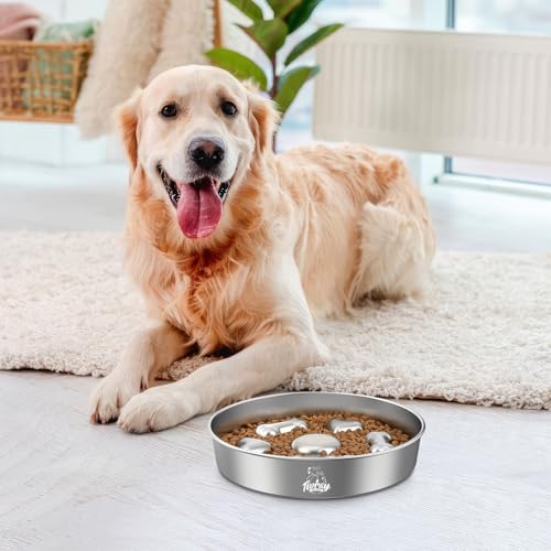 Slow Feeder Dog Bowls, 304 Stainless Steel Slow Feeder Bowl 5 Cups Metal Pet Food Bowl with Non-Slip Base for Medium & Large Breed, Bloat Stop, Dishwasher Safe - color: Silver, size: 5 Cups