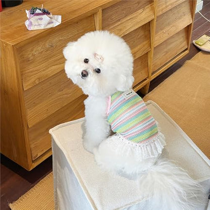 Dog Sling Tank Top with Tulle Skirt, Colorful Striped Pet T-Shirt (Pink, Small) - color: Pink, size: Small