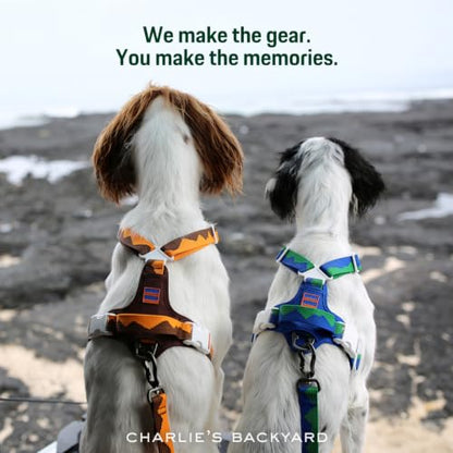 Charlie’s Backyard Teton Dog Leash, Urban to Trail 6 FT Heavy-Duty Lead Adjustable Length Hands-Free Waist-Worn, Ultra-Light Aluminum Hook, Comfort Handle with Poop Bag Clip, Autumn Glow - color: Autumn Glow
