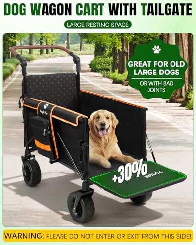 Snagle Paw Dog Wagon for Medium Large Dogs up to 120lbs | All Terrain Foldable Large Pet Stroller with Ramp & Tailgate (Extra Space), Dog Wagon Cart Adjustable Handle & One-Step Brake - color: orange