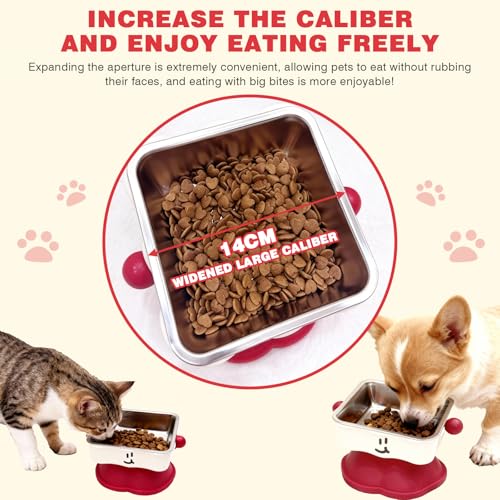 Elevated Cat & Small Dog Bowl - 30° Slanted Anti-Slip Feeding Bowl, Detachable Stainless Steel Design, Reduces Stomach Pressure, Comfortable Eating Posture, Easy to Clean, Fits Cats & Small Breeds