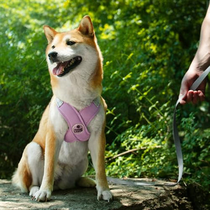 Patas Lague Dog Harness with Leash Set Adjustable Soft Padded Step-in Dog Vest No Choke No Pull Reflective for Small Pets with Poop Bags and Dispenser, Solid and No-chew, Purple XS - color: Purple, size: XS (Neck 16-19.1'' Chest 18.8-21.5'')