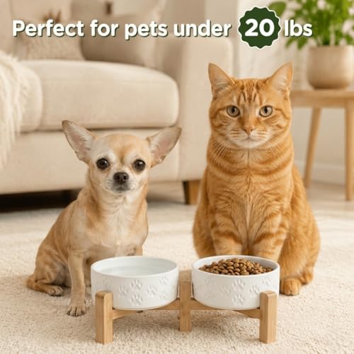 SPUNKYJUNKY Elevated Dog Bowls Ceramic, 5.1'' Dogs and Cat Food Water Bowls Raised with Non-Slip Bamboo Stand for Puppy Small Sized Breed Microwave Dishwasher Safe - 13.5 OZ,Paw White - color: Paw White, size: 5.1 in - 1.7 cups