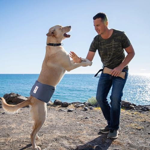 Male Belly Bands Dogs Diapers(4 Pack), Washable Reusable High Absorbing Boy Doggy Wraps Panties Doggie Puppy Pooping Potty Training Incontinence Marking Pañal para Perro Black Blue Gray Grey Small - color: Black Blue Gray Grey, size: Small (11"-14")