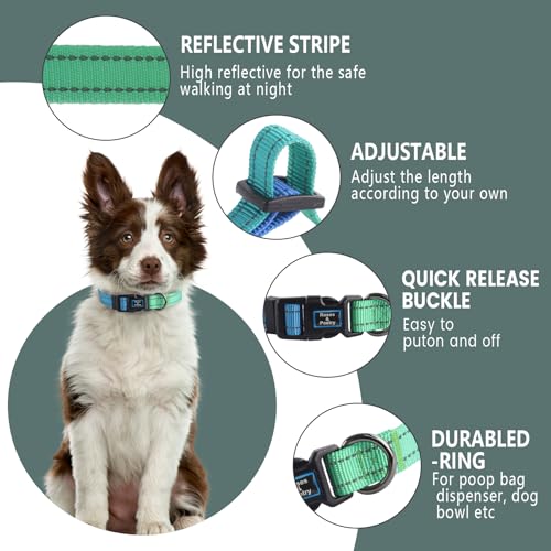Roses&Poetry Bluegreen Small Dog Collar and Leash Set, Puppy Reflective Leashes with Collars, Adjustable Durable Matching Collar Leash for Small Dogs Girl (Bluegreen-S) - color: BlueGreen, size: S
