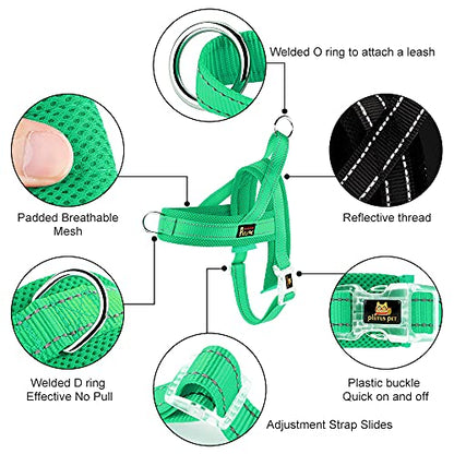 Plutus Pet No Pull Dog Harness with Breathable Mesh Padded, Adjustable Reflective Escape Proof Dog Harness, Quick Fit Dog Vest Harness for Small Medium Large Dogs(XXS, Green) - color: Green, size: XXS: chest 11.8"-15"