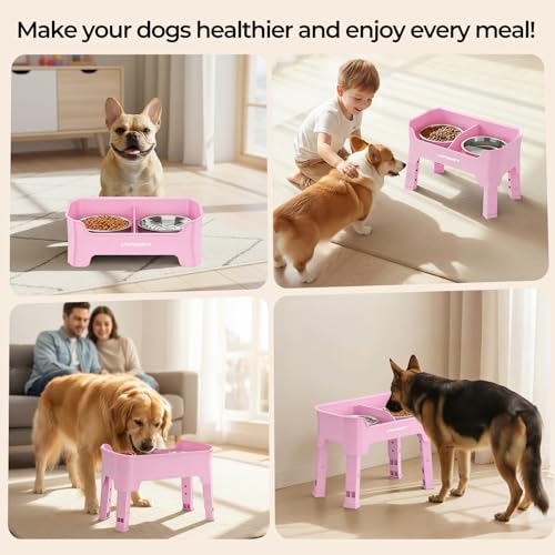URPOWER Mess Proof Elevated Dog Bowls 4 Height Adjustable Raised Bowl Stand with 2 Stainless Steel Dog Bowls Non-Slip Food and Water Bowl Set for Small, Medium, Large Dogs, Pink - color: Pink, size: Medium