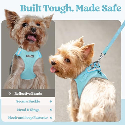 rabbitgoo Dog Harness Small Sized and Leash Set, Step in Soft Light Puppy Vest, Breathable Mesh Pet Harness, Reflective for Safe Easy Walking, Mint Blue XXXS - color: Mint Blue, size: Xxxs (chest: 10.8 - 11.8")