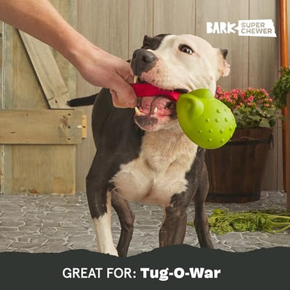 Barkbox Tug Tied Toad Dog Toy for Tough Chewers – Durable Rubber Design, Perfect for Tug-of-War - color: Tug Tied Toad-Large