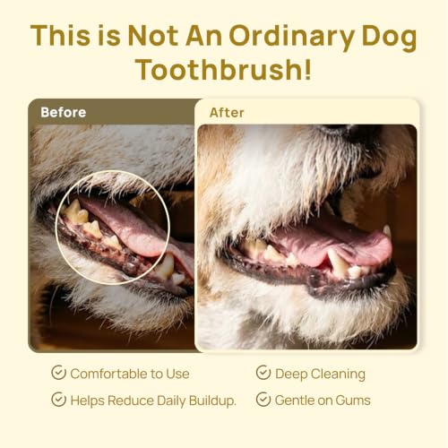 HICC PET Toothbrush for Cats & Small Dogs,Ergonomic Pet Toothbrush for Easy Teeth Cleaning,Gentle on Gums, Cat & Dog Dental Care – Toothpaste Not Included - color: Yellow for Cats & Small Dogs