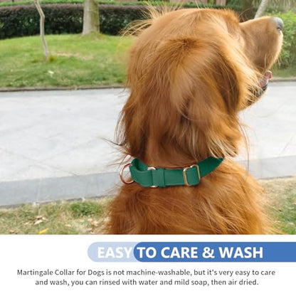 Soft Leather Martingale Dog Collar - Adjustable Rose Gold Limited Slip Collars [Easy to Clean], Stylish Durable Heavy Duty Nylon No Pull Training Collar for Small Medium Large Dogs XS Dark Green - color: Dark Green, size: XS (Neck 8"-11", Width 3/5")