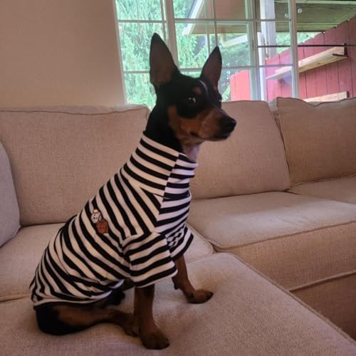 Turtleneck Dog Shirt Cute Doggie Embroidery Super Soft Dog Sweatshirt Stretchy Striped Puppy Pullover for Cats Small Medium Large Dogs (Black Striped, Small) - color: Black Striped, size: Small