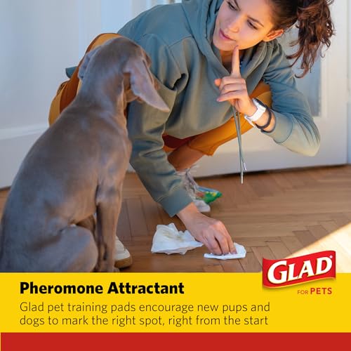 Glad for Pets XL Charcoal Training Pads, Heavy Duty Leak-Resistant Puppy Pee Pads with Activated Carbon Odor Control, Quick-Dry Quilted Top, Indoor Potty & Crate Liner, 24 x 24 in, 100 Count - size: 100 Count (Pack of 1)