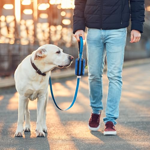 Dog Poop Bag Holder for Leashes - Dog Poop Bag Dispenser and Treat Holder with 2 Waterproof Pouches for Pet Waste Bags and Walking Accessories + 1 Free Roll - Leashrr 2.0 (Teal) - color: Teal