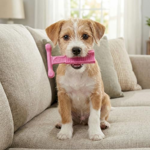 SPOT Bam-Bones Puppy T-Bone Dog Chew Toys, Chicken Flavor, 4 Inch, 2 Pack, Bamboo Fiber & Flexible Rubber, Easy Grip Design for Gentle Chewers, Puppies & Small Dogs Up to 15 lbs