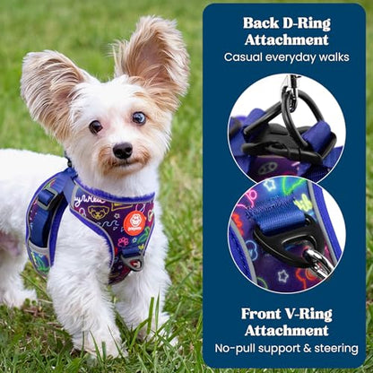 Step in Extra Small Dog Harness and Puppy Harness – No Pull No Choke Mesh Vest with Front & Back Clips for XS Small Breed Dogs (Neon Nights, XS) - color: Neon Nights, size: XS