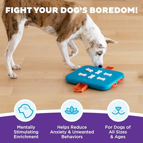 Outward Hound by Nina Ottosson Dog Casino Treat Puzzle Enrichment Toy, Level 3 Advanced, Turquoise - color: Dog Casino (Blue, Orange)