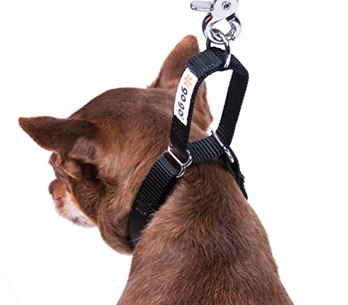 GoGo Pet Products GoGo 3/4-Inch Martingale Dog Collar, Medium, Black - color: Black, size: Medium (3/4" web width)