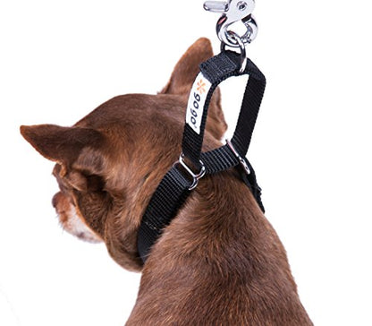GoGo Pet Products GoGo 3/4-Inch Martingale Dog Collar, Medium, Black - color: Black, size: Medium (3/4" web width)