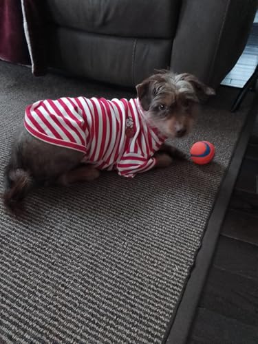Turtleneck Dog Shirt Cute Doggie Embroidery Super Soft Dog Sweatshirt Stretchy Striped Puppy Pullover for Cats Small Medium Large Dogs (Red Striped, Small) - color: Red Striped, size: Small