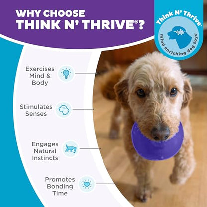 Outward Hound by Planet Dog Lil' Snoop Dog Toy – Treat‑Dispenser Puzzle Ball, Interactive Slow Feeder, Small to Medium Dogs, Bouncy & Mint-Infused, Purple, 3.9" - color: Purple Lil Snoop
