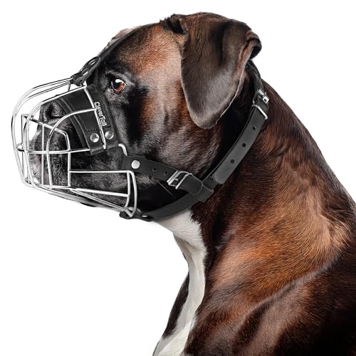 Metal Muzzle for Boxer Dog Breed – Bite Proof Boxer Muzzle for Medium and Large Sized Dogs – Steel Wire Basket Muzzles for Dogs English Bulldog, American Bulldog etc. - size: Large