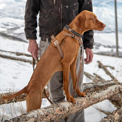 Carhartt Nylon Duck No Pull Dog Harness, Fully Adjustable Dog Harness with Quick Control Handle and Reflective Accents, Carhartt Brown, Medium - color: Carhartt Brown, size: Medium