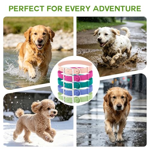 Wisedog Small Puppy Collar, Sage Green, XS 7"-10" × 1/2" | Soft Rubber Coated Webbing, Cute Pet Design, For Small Dogs & Cats - color: Sage Green