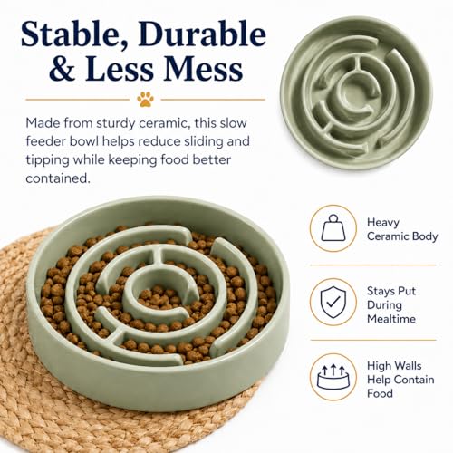 Ceramic Slow Feeder Dog Bowls with Anti-Slip, Slow Feeder & Non-Slip Design, Boredom and Anxiety Reducer, Suitable for All Breed Dogs and Cat (Ceramic-Green) - color: Ceramic-Green