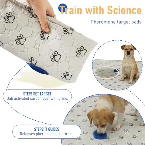 2Pack Washable Pee Pads for Dogs, Reusable Puppy Pads Pet Training Pads with Activated Carbon Pheromone Attraction Targets, Waterproof & Non-Slip Dog Pee Pads for Housebreaking (36"x36") - size: 36"x36" (Pack of 2)