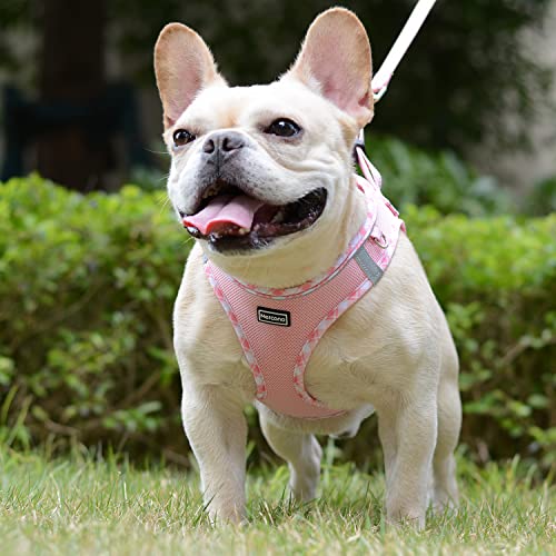 Mercano Soft Mesh Dog Harness and Leash Set, Step-in Reflective Breathable Lightweight Vest Harnesses with Safety Buckle for Small Dogs, Cats (Pink, XXS) - color: Pink, size: XXS (Chest: 9.5"-11.2")