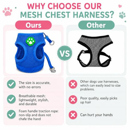 Dog Harness Small Sized and Leash Set, Step in Soft Light Puppy Vest, Breathable Mesh Pet Harness, Adjustable Pet Puppy Harness, Easy Walk Dog Harness, S: Chest 7.8-13.7" - color: Blue, size: S: Chest 7.8-13.7" Leash 4 FT