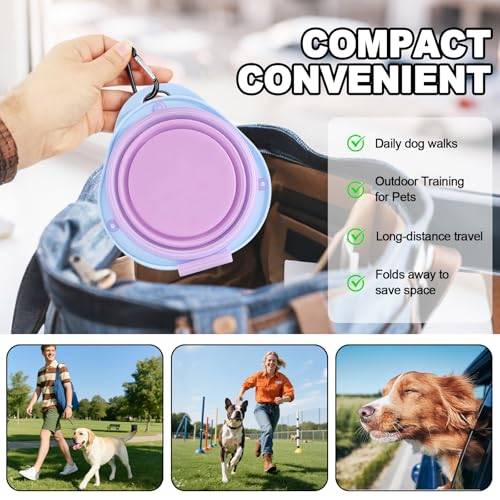 2-in-1 Purple Collapsible Dog Bowls with Carabiner | Foldable Water Bowl(320ml) Foldable Slow Food Bowl(130g) for Dogs Cats Travel Hiking Camping - color: Purple