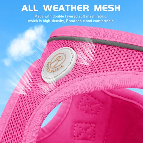 Soft Mesh Dog Harness and Leash Set, No Pull Puppy Harness and Leash Set, Reflective Step in Harness for Small Medium Dogs, Easy Walk Escape Proof Vest Harnesses (Rose Red, XXS) - color: Rose Red, size: XXS
