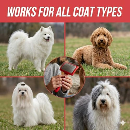 Dog Slicker Brush for Doodles, Goldendoodles & Labradoodles – Extra Long Pin Brush for Dematting & Deshedding – Removes Tangles, Knots & Loose Hair – Wooden Handle for Thick, Curly Coats (Large)