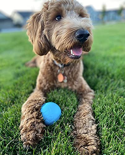 Chew King Fetch Balls Extremely Durable Natural Rubber Toy 4 inch, 2 Pack (CM-10031-CS01) - color: 2-Pack (4" Balls)