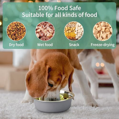 Slow Feeder Dog Bowls Insert, Animire Soft Silicone Slow Eating Dog Food Bowl for Small, Medium and Large Dogs, Compatible with Regular and Elevated Bowls - color: Green, size: L
