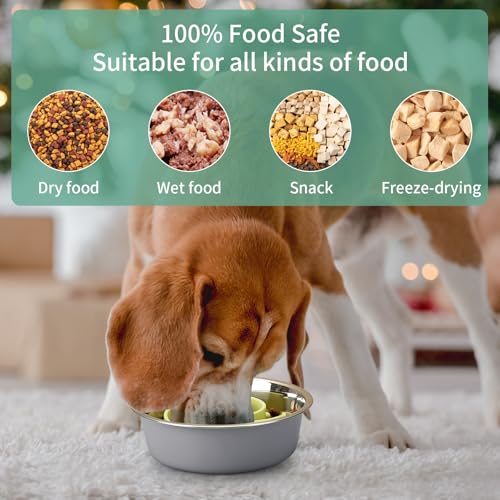 Slow Feeder Dog Bowls Insert, Animire Soft Silicone Slow Eating Dog Food Bowl for Small, Medium and Large Dogs, Compatible with Regular and Elevated Bowls - color: Green, size: M
