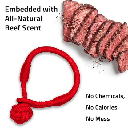 Playology Dog Toys | Tough Tug Knot for Puppies and Young Dogs | Beef Scented Medium Chew Toy Tug Rope | Tug of War Puppy Essentials - size: Medium, style: Beef