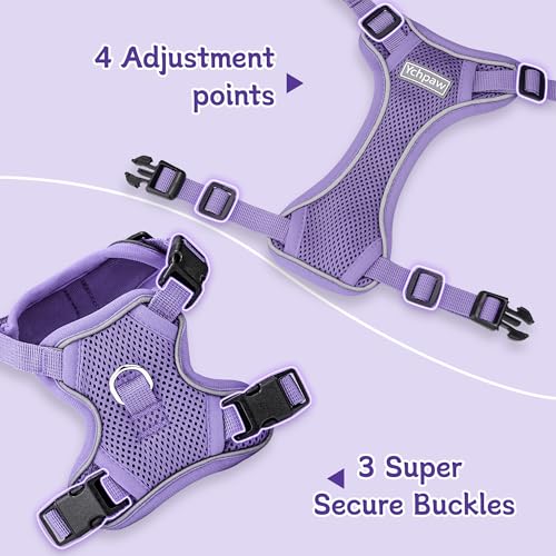 Small Dog Harness and Leash Set, Reflective Soft Breathable Mesh Vest, 3 Buckles, Adjustable Neck and Chest,Step in Dog Harness for Walking, Running, Training, Purple, XS - color: Purple, size: X-Small